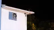 Batman Gercüş'te trafo üzerinde yakalanan sansarların neşeli dakikaları