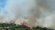 Çanakkale Ezine’de orman yangını başladı