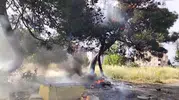 Çorlu'da atılan bir hurda 50 yıllık ağacı yok etti