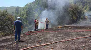 Kumluca’daki yangın meyve bahçelerine zarar verdi