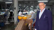 Giresun fındığında fiyatlar eriyor