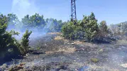 Bingöl ormanlarında çıkan yangın hızlı müdahaleyle söndürüldü