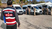 Diyarbakır merkezli dev operasyon 15 milyar liralık suç gelirine el koydu