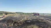 Silivri’de alevler rüzgarla yayıldı