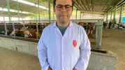 Kene tehlikesi kapıda Kocaeli için kritik uyarılar