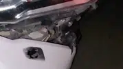 Elazığ’da gece yarısı domuz sürüsüyle çarpışma