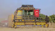 Mardin ovasında buğday bereketi 700 bin tonu aşacak