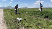 Hacılar’da doğayı koruma çağrısı