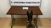 Bilecik'te motosikletli uyuşturucu baskını