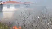Bursa'da buğday tarlasında korkutan yangın