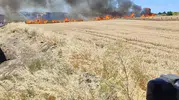 Silivri’de alevler tarlaları sardı