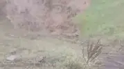 Tokat Artova'da dolu yağışı her yeri kışa çevirdi