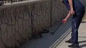 Adıyaman Eğitim ve Araştırma Hastanesi bahçesinde iki metrelik yılan paniği