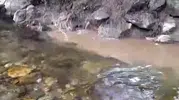 Büyüksu Deresi'ne karışan kanalizasyon suyu bölgeyi tehdit ediyor