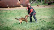 Muğlalı arama kurtarma köpekleri Avrupa sınavını başarıyla geçti