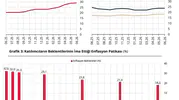 Merkez Bankası anketine göre yıl sonu enflasyon beklentisi yükseldi