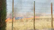 Şanlıurfa’da yangın okul bahçesine dayanmadan son anda önlendi