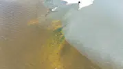 Küçükçekmece Gölü can çekişiyor Marmara ile yan yana felaket manzarası