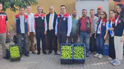Aydın incirinde yeni sezon hazırlıkları sahada başladı