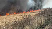 Çorlu’da buğday tarlası yangını paniği