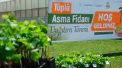 Tokatlı çiftçiye binlerce asma fidanı desteği