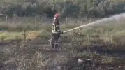 Osmaniye otoyolunda yanan tanker zeytin bahçesini küle çevirdi