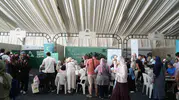TÜRGEV gençleri sıfır atık bilinciyle buluşturuyor