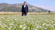 Tavas çiftçisi için yeni gelir kapısı arayışı başladı