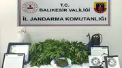 Balıkesir'de narkotik operasyonu 31 kişi gözaltına alındı