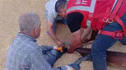 Adıyaman'da tarım kazası ucuz atlatıldı
