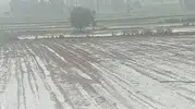 Kayseri'de dolu felaketi Binlerce dönüm tarım arazisi küle döndü