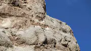 Sivas yollarında ormanın hayaletleriyle karşılaştılar