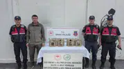 Sivas'ta kaçak avlanan keklikler özgürlüğüne kavuştu