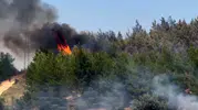 Seydikemer Gölbent bölgesinde orman yangını paniği sürüyor