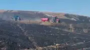 Siirt'te hasat paniği Biçerdöver tarlayı ateşe verdi