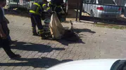 Lüleburgaz’da hareket halindeki elektrikli bisiklet bataryası bomba gibi patladı