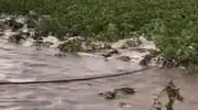 Kayseri'de sel kabusu tarlaları vurdu