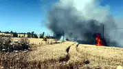 Malkara’da buğday tarlası alevlere teslim oldu
