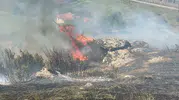 Manisa Kula'da makilik alanda yangın paniği