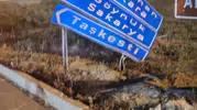 Mudurnu'da alkollü sürücü trafik levhasına çarptı