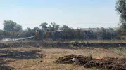 Balıkesir'de iki ilçeyi korkutan yangınlar söndürüldü