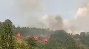 Gemlik kırsalında korkutan yangın büyümeden söndürüldü