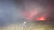 Bandırma’da çamlık yangını korkuttu