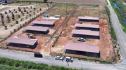 Efeler sokak hayvanları için dev bir yaşam merkezi kuruyor