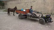 Amasyalı engelli gencin en sadık yol arkadaşı katırı oldu