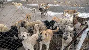 Edremit'te korkutan alarm: Mahalle mahalle karantina dönemi başladı