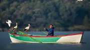 Balıkçı Adem ve Yaren leyleğin kayığına sürpriz ziyaretçiler doldu