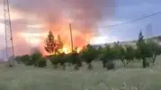 Adıyaman'da elektrik direğinden sıçrayan kıvılcımlar tarlayı yaktı