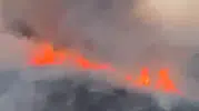 Gaziantep Oğuzeli’nde buğday tarlaları alevlere teslim oldu