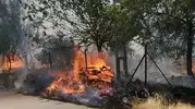 Adıyaman Karadağ’da orman yangını paniği